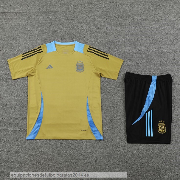 Nuevo Entrenamiento Conjunto Completo Argentina 2024 Amarillo Negro Azul Baratas